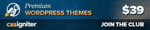 premium wordpress themes
