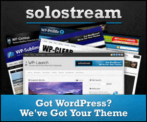 Premium WordPress Themes
